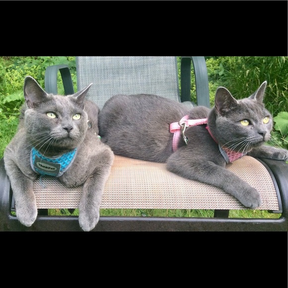 Meet your Posher, Catherine - Picture 1 of 8